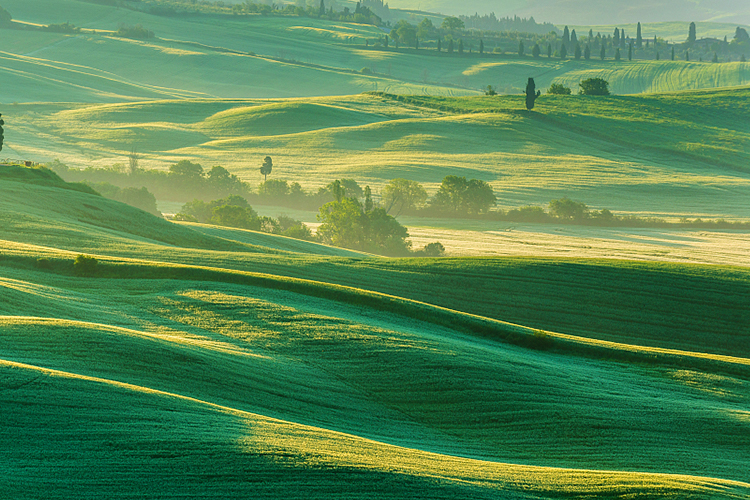 守護環境，踐行可持續發展 | 生產中實行循環利用，實現零污水排放